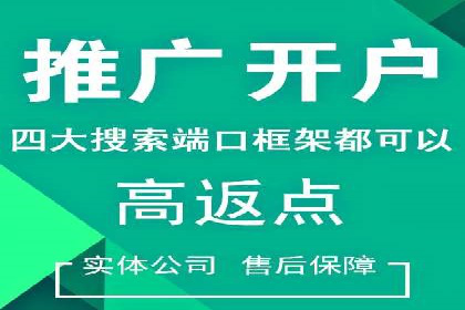 SEM推广案例：从无到有的转变